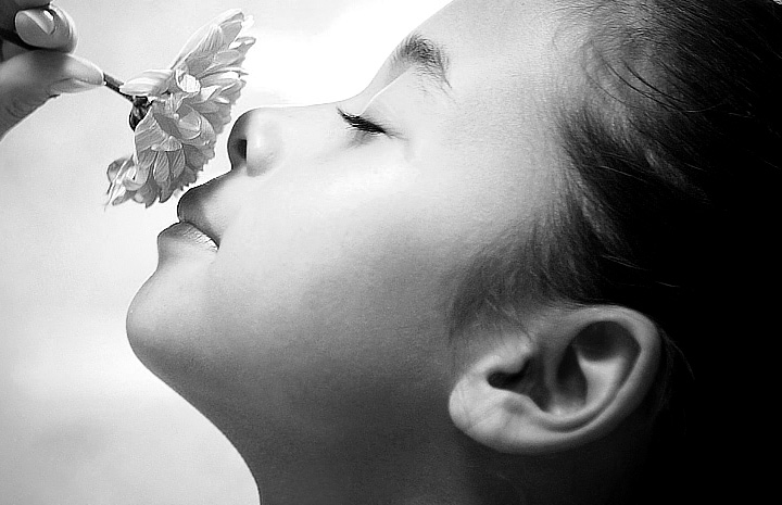 攻击网站服务器